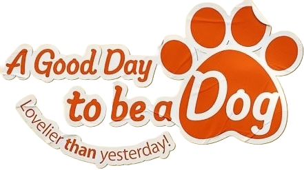 A Good Day to be a Dog 